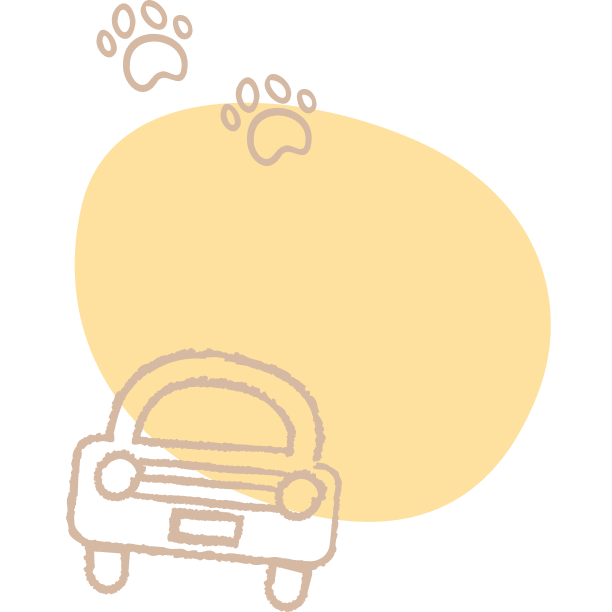 装飾
