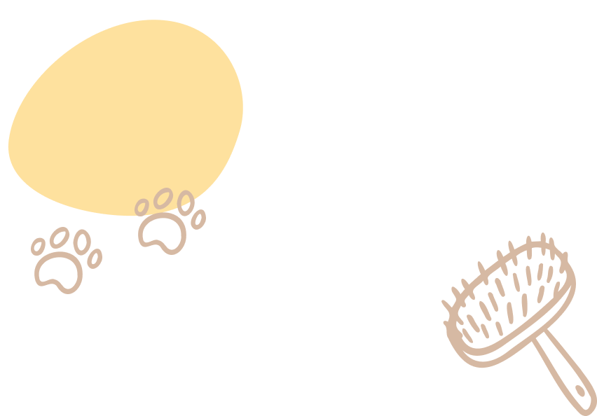 装飾